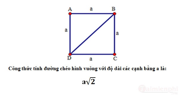đường chéo hình vuông-1