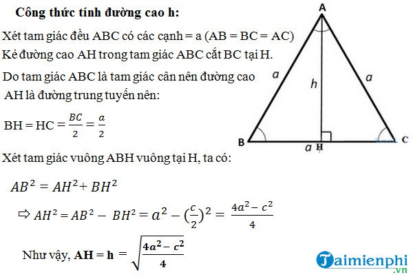 đường cao tam giác vuông cân-0