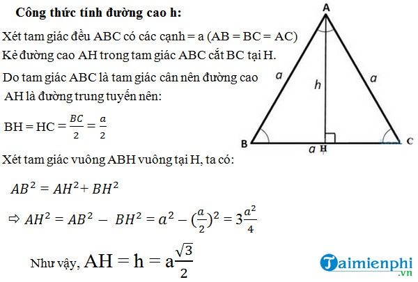 đường cao trong tam giác đều-0